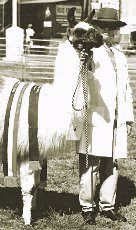 Burnbrook Gershwin