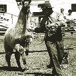 Michael and Tango